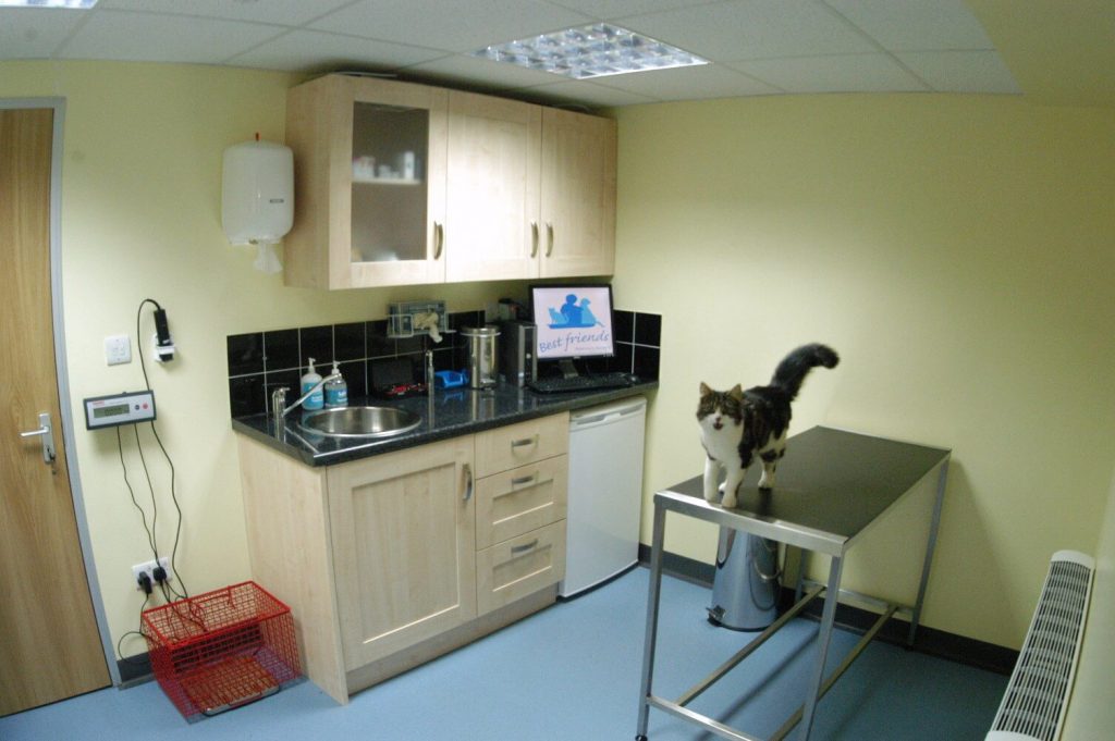 Cat Consulting Room BEST FRIENDS VETERINARY