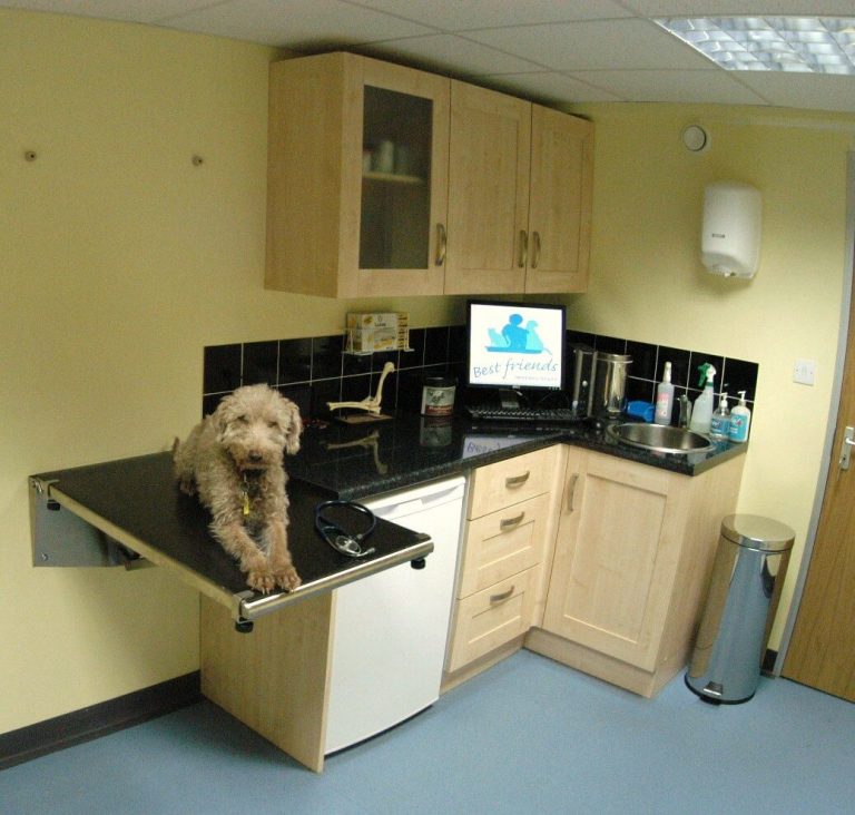 Dog Consulting Room BEST FRIENDS VETERINARY
