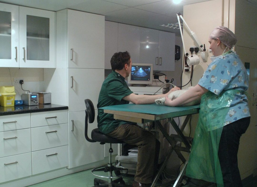 Prep Room BEST FRIENDS VETERINARY