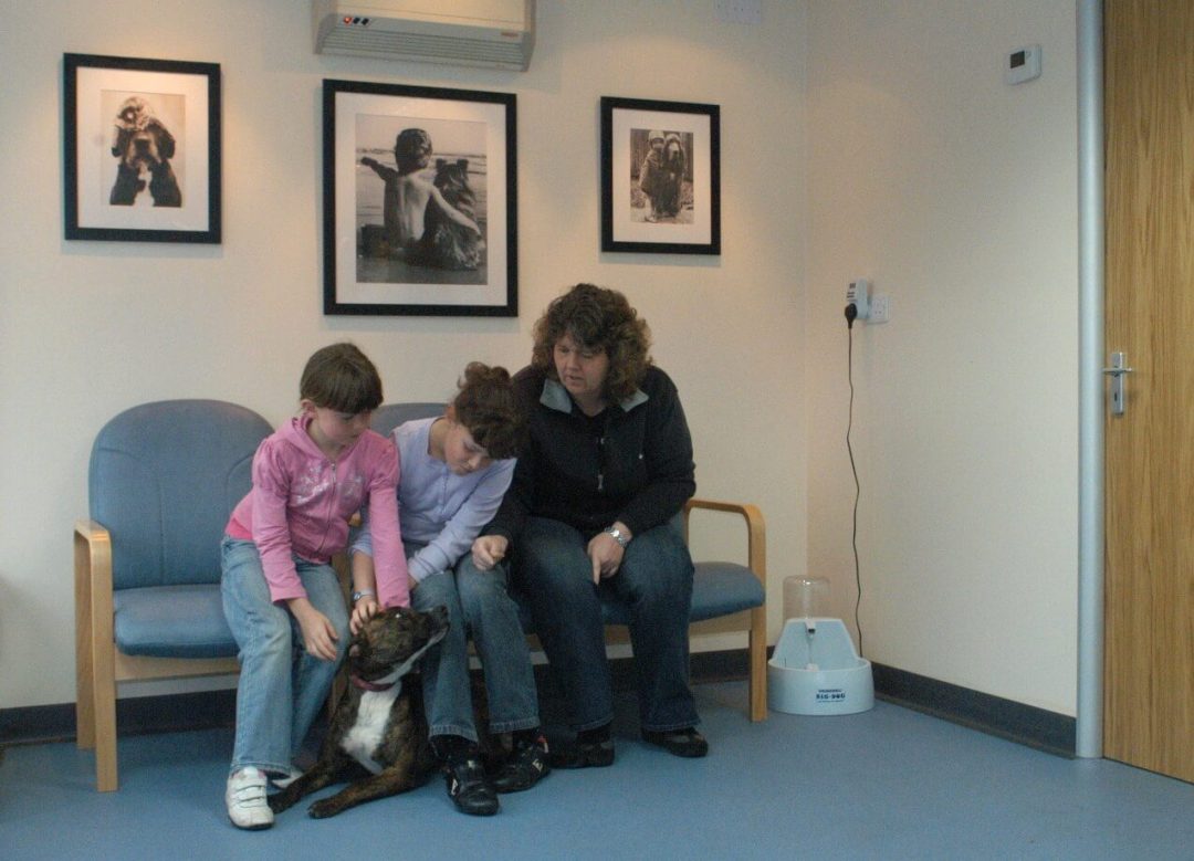 Reception BEST FRIENDS VETERINARY